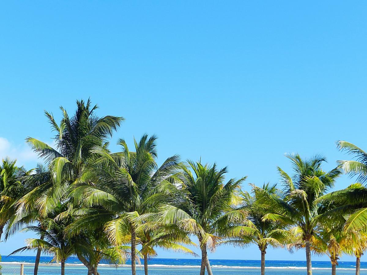 Palmeras De Mahahual Cabanas מראה חיצוני תמונה