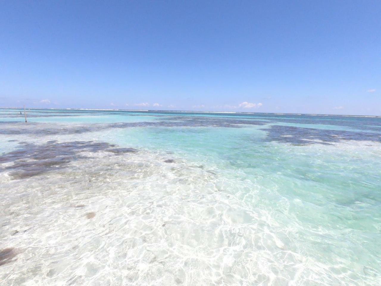 Palmeras De Mahahual Cabanas מראה חיצוני תמונה