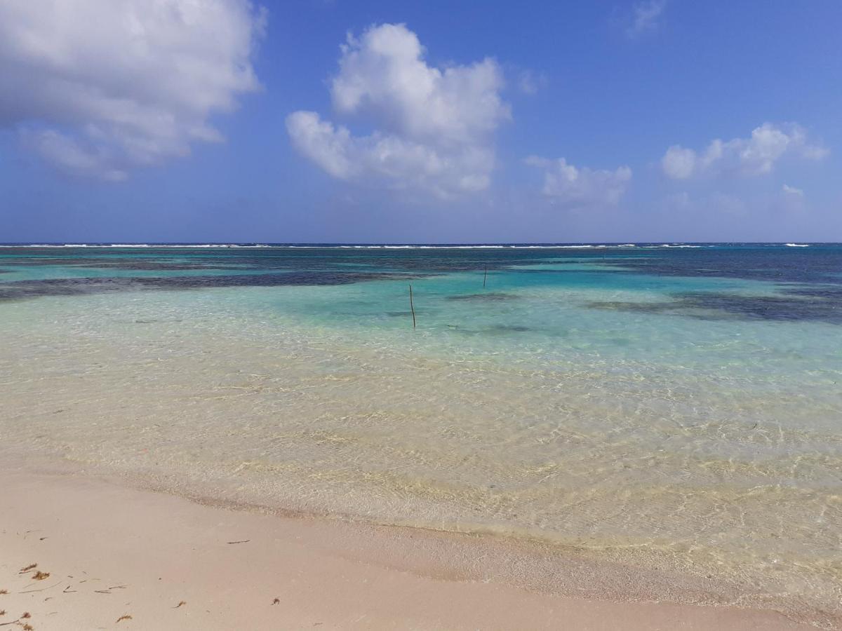 Palmeras De Mahahual Cabanas מראה חיצוני תמונה